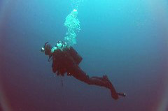    Mareste fotografia 

WeDive - Croatia 2015