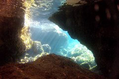    Mareste fotografia 

WeDive - Croatia 2015