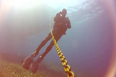    Mareste fotografia 

WeDive - Croatia 2015