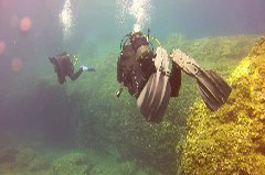    Mareste fotografia 

WeDive - Croatia 2015