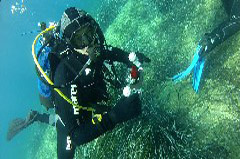    Mareste fotografia 

WeDive - Croatia 2015