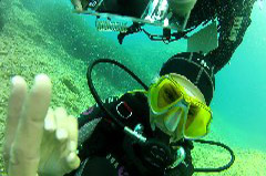    Mareste fotografia 

WeDive - Croatia 2015