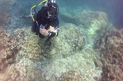    Mareste fotografia 

WeDive - Croatia 2015