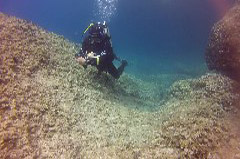    Mareste fotografia 

WeDive - Croatia 2015