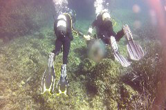    Mareste fotografia 

WeDive - Croatia 2015