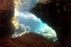    Mareste fotografia 

WeDive - Croatia 2015