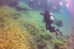    Mareste fotografia 

WeDive - Croatia 2015