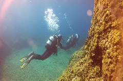    Mareste fotografia 

WeDive - Croatia 2015