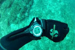    Mareste fotografia 

WeDive - Croatia 2015