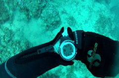    Mareste fotografia 

WeDive - Croatia 2015