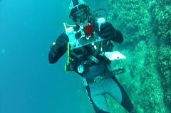    Mareste fotografia 

WeDive - Croatia 2015