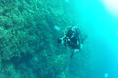    Mareste fotografia 

WeDive - Croatia 2015