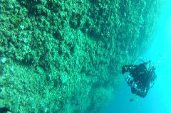    Mareste fotografia 

WeDive - Croatia 2015