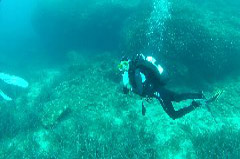    Mareste fotografia 

WeDive - Croatia 2015