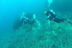    Mareste fotografia 

WeDive - Croatia 2015