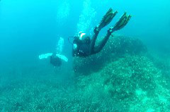    Mareste fotografia 

WeDive - Croatia 2015