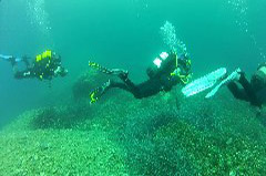    Mareste fotografia 

WeDive - Croatia 2015