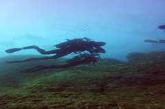    Mareste fotografia 

WeDive - Croatia 2015