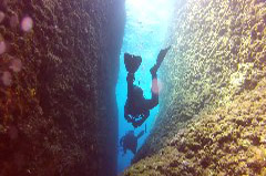    Mareste fotografia 

WeDive - Croatia 2015