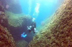    Mareste fotografia 

WeDive - Croatia 2015