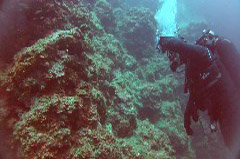    Mareste fotografia 

WeDive - Croatia 2015