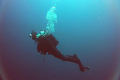    Mareste fotografia 

WeDive - Croatia 2015