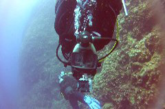    Mareste fotografia 

WeDive - Croatia 2015