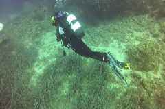    Mareste fotografia 

WeDive - Croatia 2015