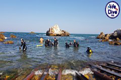    Mareste fotografia 

WeDive - CursuriScufundari