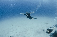    Mareste fotografia 

WeDive - Egipt 2021