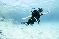    Mareste fotografia 

WeDive - Egipt 2021