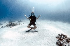    Mareste fotografia 

WeDive - Egipt 2021