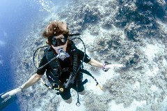    Mareste fotografia 

WeDive - Egipt 2021