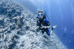    Mareste fotografia 

WeDive - Egipt 2021