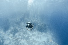    Mareste fotografia 

WeDive - Egipt 2021