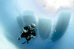    Mareste fotografia 

WeDive - Egipt 2021