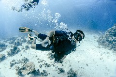    Mareste fotografia 

WeDive - Egipt 2021