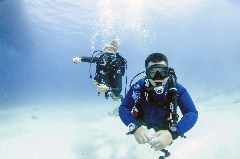    Mareste fotografia 

WeDive - Egipt 2021