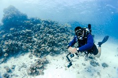    Mareste fotografia 

WeDive - Egipt 2021