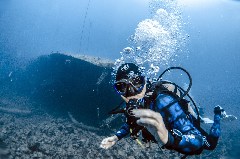    Mareste fotografia 

WeDive - Egipt 2021