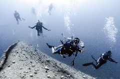    Mareste fotografia 

WeDive - Egipt 2021