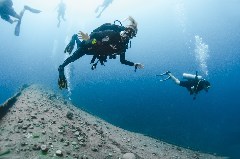    Mareste fotografia 

WeDive - Egipt 2021