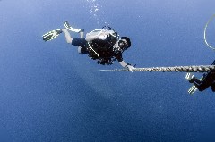    Mareste fotografia 

WeDive - Egipt 2021