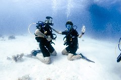    Mareste fotografia 

WeDive - Egipt 2021