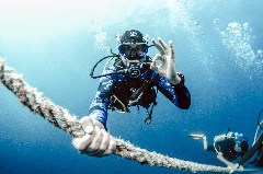    Mareste fotografia 

WeDive - Egipt 2021