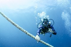    Mareste fotografia 

WeDive - Egipt 2021