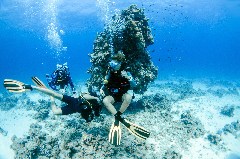    Mareste fotografia 

WeDive - Egipt 2021