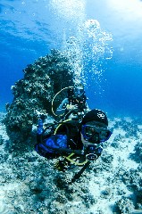    Mareste fotografia 

WeDive - Egipt 2021