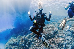    Mareste fotografia 

WeDive - Egipt 2021