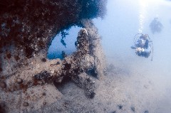    Mareste fotografia 

WeDive - Egipt 2021